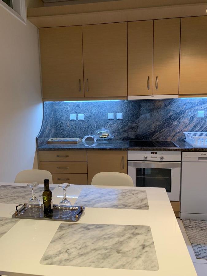 New Luxury Apartment In Central Suburb Of 雅典 外观 照片